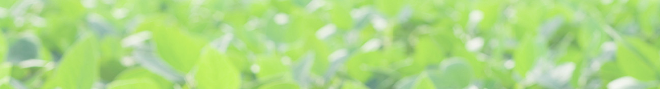 fondo header investigacion